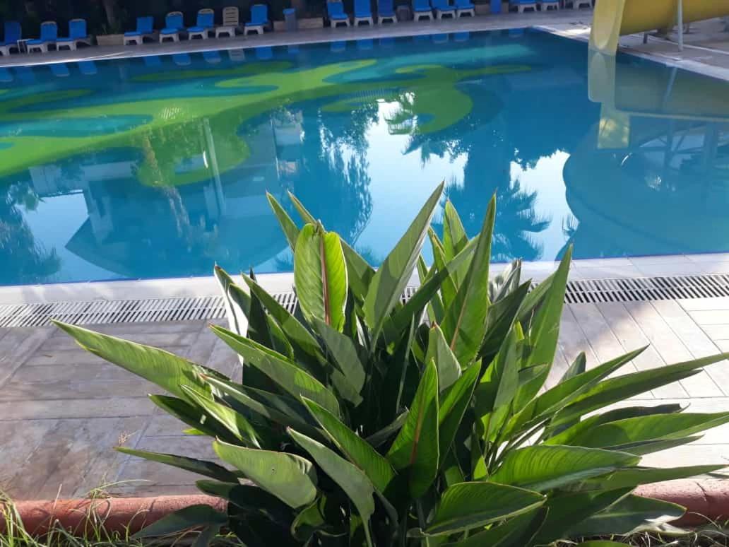 Hotel Club Jovia Kemer Antalya Exteriér fotografie