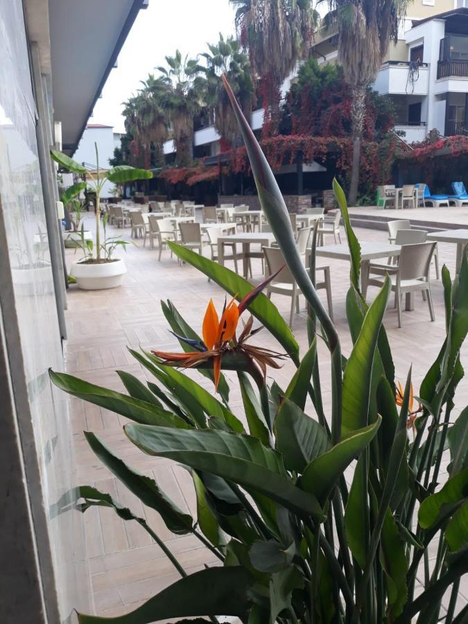 Hotel Club Jovia Kemer Antalya Exteriér fotografie